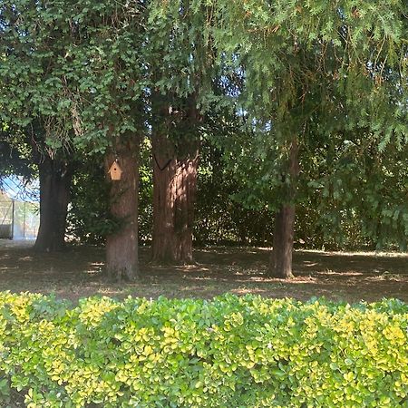 Domaine De La Mouleyre A Cenac Proche Bordeaux Villa Carignan-de-Bordeaux Екстериор снимка